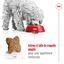 Royal Canin - Croquettes Mini Adult pour Chien de Petite Taille - 800g Indicateur image numéro 3