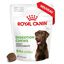 Royal Canin - Aliment Complémentaire Adult Digestion Chews pour Chiens - 160g Indicateur image numéro 1