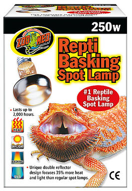 Zoomed - Ampoule chauffante pour terrarium - 250W