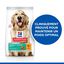 Hill's Science Plan - Adult Perfect Weight Croquettes Pour Grand Chien Au Poulet  - 12kg Indicateur image numéro 2
