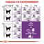 Royal Canin - Croquettes Sensible 33 pour Chat Adulte - 2Kg Indicateur image numéro 5