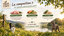 True Origins Pure - P&acirc;t&eacute;es En sauce Sans c&eacute;r&eacute;ales pour Chats - 85g Indicateur image num&eacute;ro 2