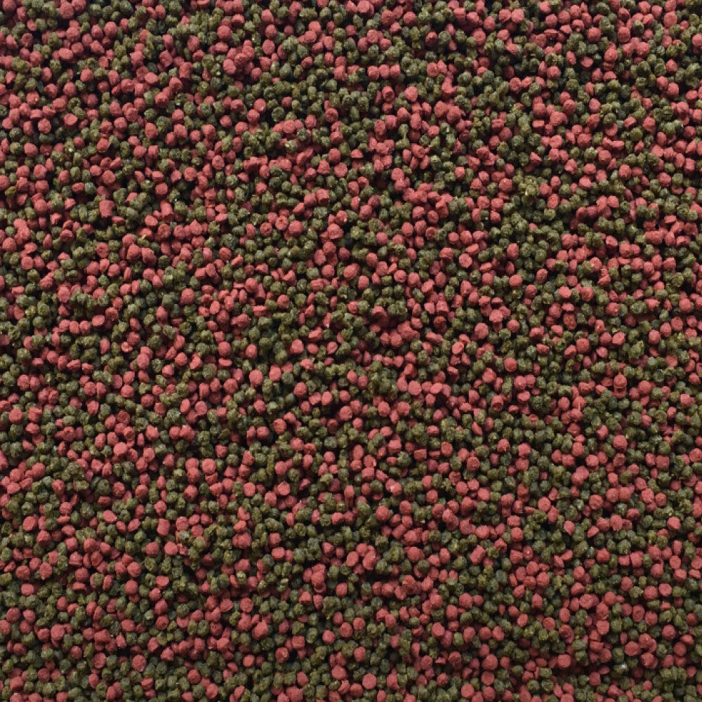 Amtra - Aliment Pro Gran Micro 0.5 - 250ml Image num&eacute;ro 2