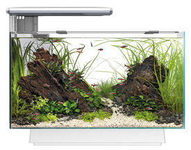 Superfish - Aquarium Quadro 40 Multi Colour - Blanc