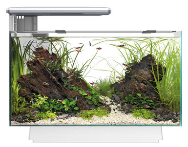 Superfish - Aquarium Quadro 40 Multi Colour - Blanc