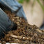 Eublepharis - Sol Nutritif Bio-Active Premium Tropical Soil - 10Kg Indicateur image numéro 10