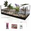 Animalis - Kit Tortue Aquatique - 60 Indicateur image numéro 3