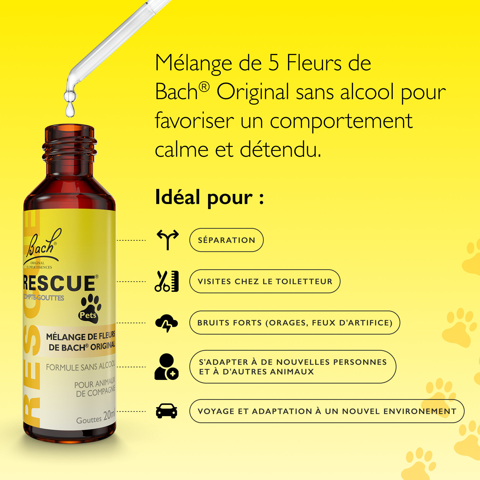 Rescue Pets - M&eacute;lange Compte-gouttes Fleurs de Bach - 20ml Image num&eacute;ro 4