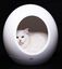 Croci - Maison Domus Technologique pour Chat et Chien - 43X45.5cm Indicateur image numéro 2
