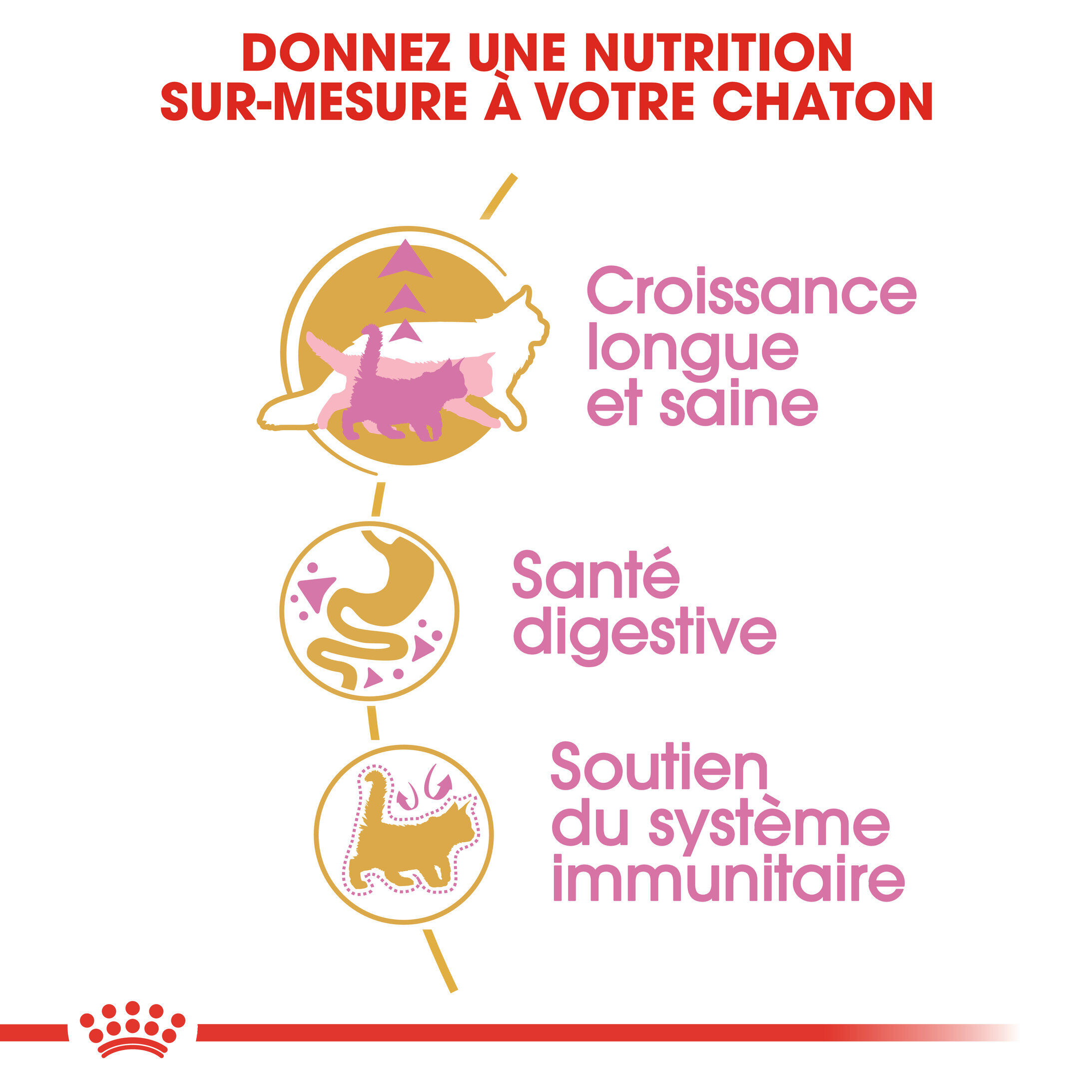 Royal Canin - Croquettes Maine Coon Kitten pour Chatons - 10Kg Image num&eacute;ro 3