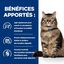Hill's - Croquettes Prescription Diet Gastrointestinal Biome pour Chats - 1,5Kg Indicateur image numéro 4