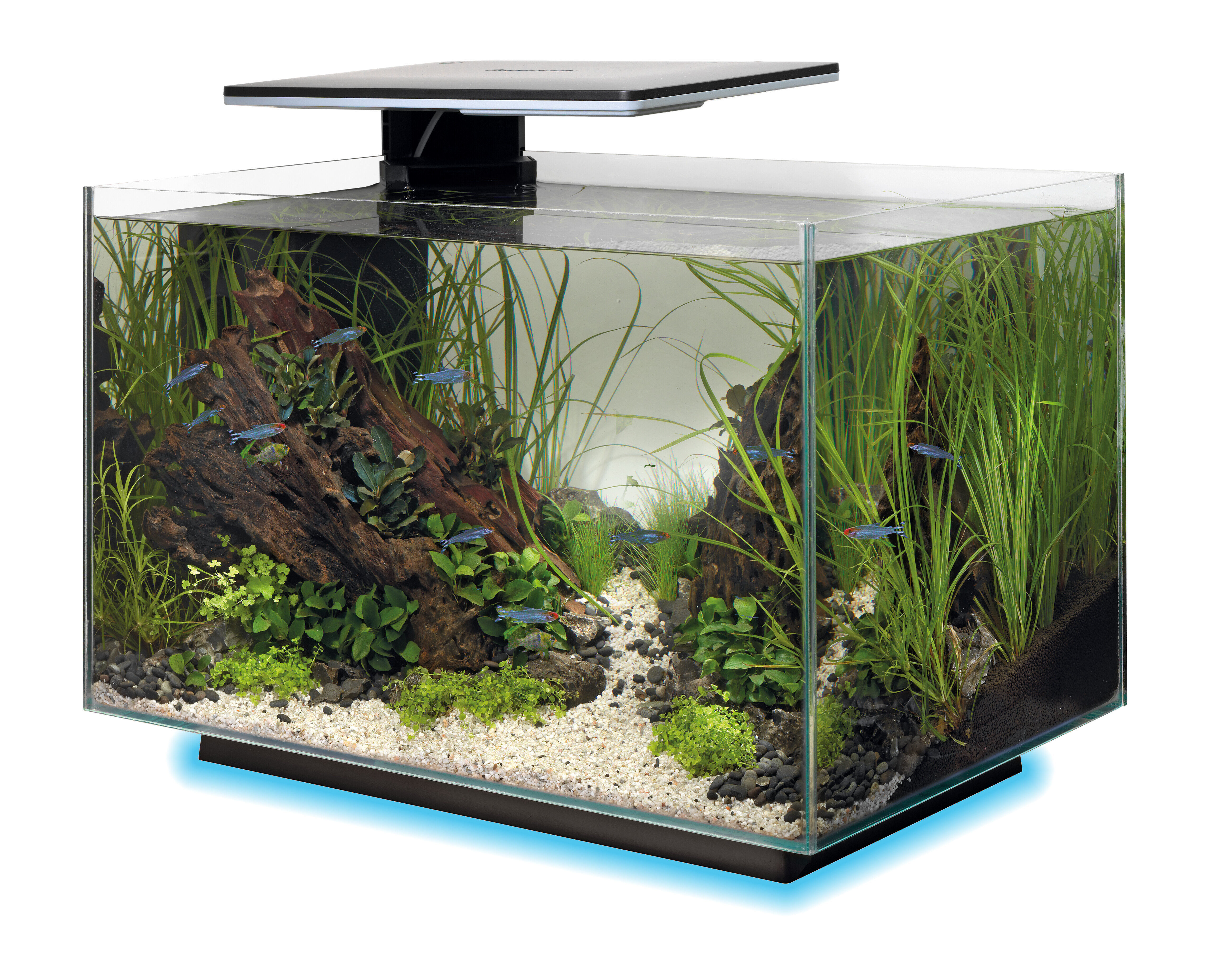 Superfish - Aquarium Quadro 40 Multi Colour - Noir Image num&eacute;ro 9