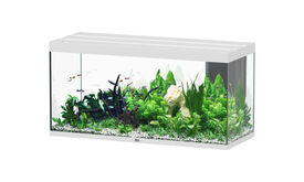 Aquatlantis - Aquarium SUBLIME 150 Led Blanc - 545L