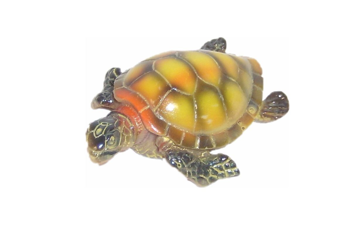 Labeo - D&eacute;coration Tortue pour Aquarium Image num&eacute;ro 1