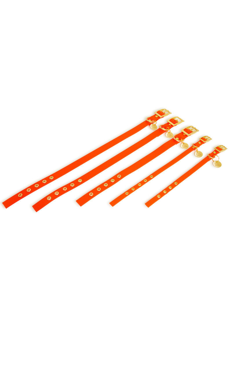 Pop Dog - Collier A  1/4 Illet Foufou Orange pour Chien - S Image num&eacute;ro 3