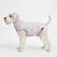 Gotoo - Manteau Chaud Imp&eacute;rm&eacute;able Lilas pour Chiens - 45cm Indicateur image num&eacute;ro 5