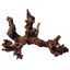Amtra - D&eacute;coration Bois Naturel Mystic Wood pour Aquarium - M Indicateur image num&eacute;ro 1