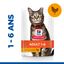 Hill's Science Plan - Multipack Adult Poulet et Dinde pour Chatons - 12x85g Indicateur image numéro 3