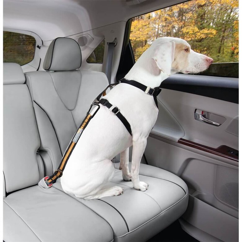 Kurgo - Attache Ceinture de Sécurité Voiture Tether pour Chien - Orange Image numéro 3 Kurgo - Attache Ceinture de Sécurité Voiture Tether pour Chien - Orange Image numéro 3