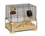 Ferplast - Cage Karat 60 pour Petits Rongeurs - 39x59x52cm Indicateur image numéro 1
