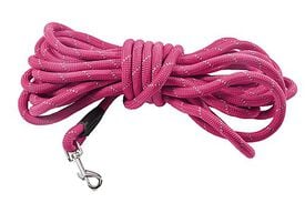 Bobby - Longe Walk Fuchsia pour Chiens