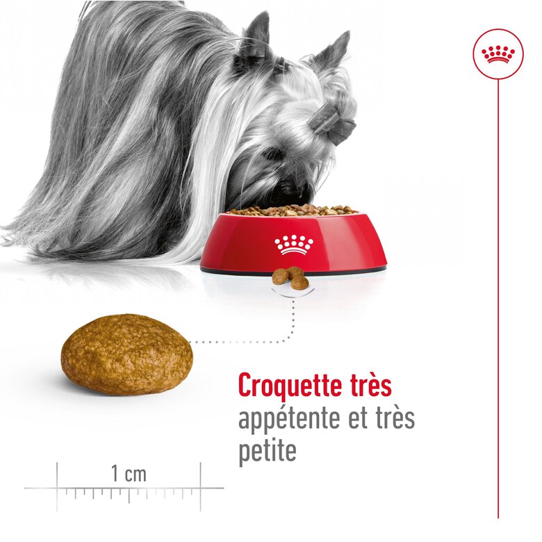 Royal Canin -  Croquettes X-SMALL ADULT CHIEN DE TRES PETITE TAILLE - 500G image number null