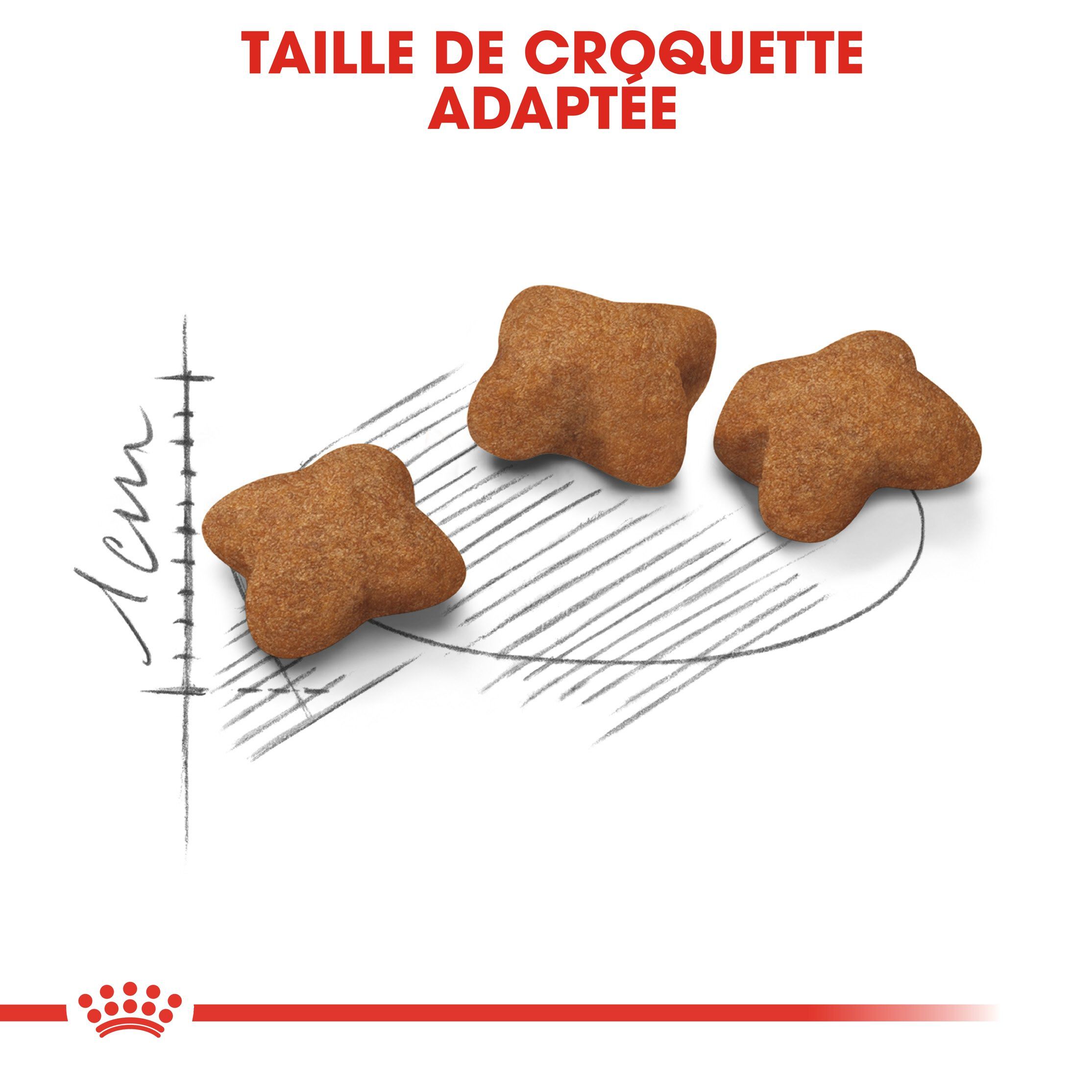 Royal Canin - Croquettes Kitten Sterilised pour Chaton - 400g Image num&eacute;ro 5