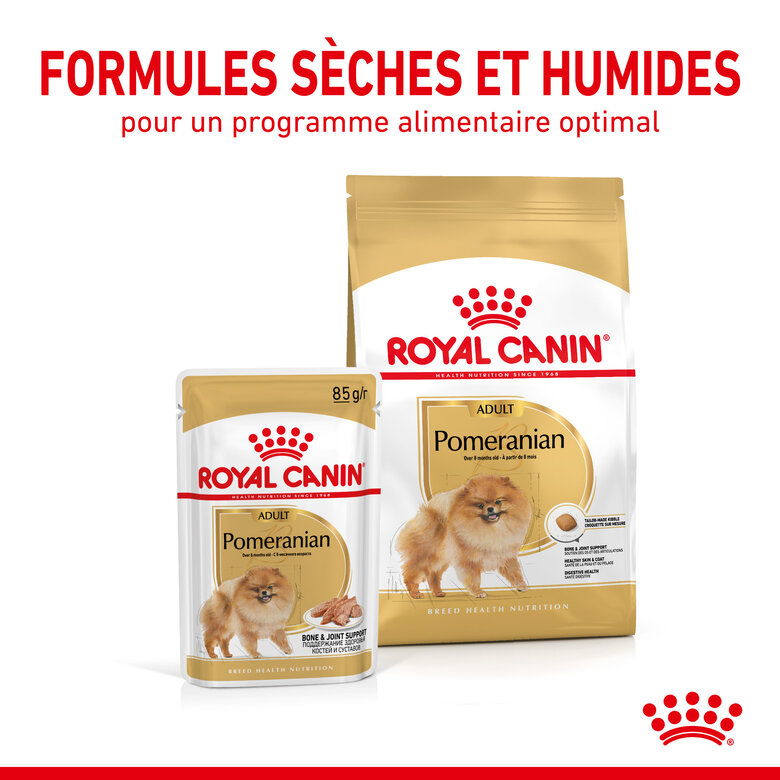 Royal Canin - Croquettes Adult Spitz Nain pour Chien - 1,5Kg Image numéro 5 Royal Canin - Croquettes Adult Spitz Nain pour Chien - 1,5Kg Image numéro 5