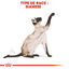 Royal Canin - Croquettes Siamese Adult pour Chats - 2Kg Indicateur image numéro 2