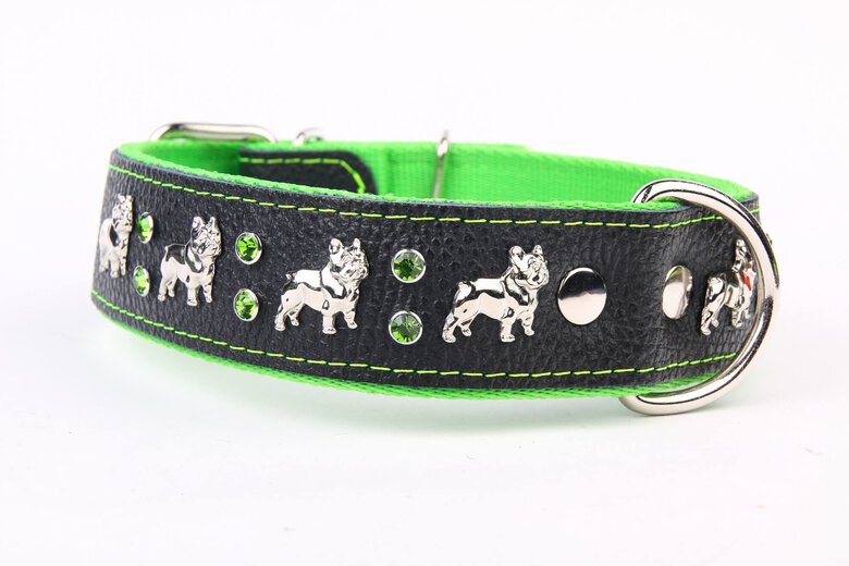 Yogipet - Collier Cuir French Bulldog Vert pour Chien - T55 38/49cm Image numéro 1 Yogipet - Collier Cuir French Bulldog Vert pour Chien - T55 38/49cm Image numéro 1