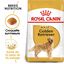 Royal Canin - Croquettes Golden Retriever pour Chien Adulte - 12Kg Indicateur image numéro 1