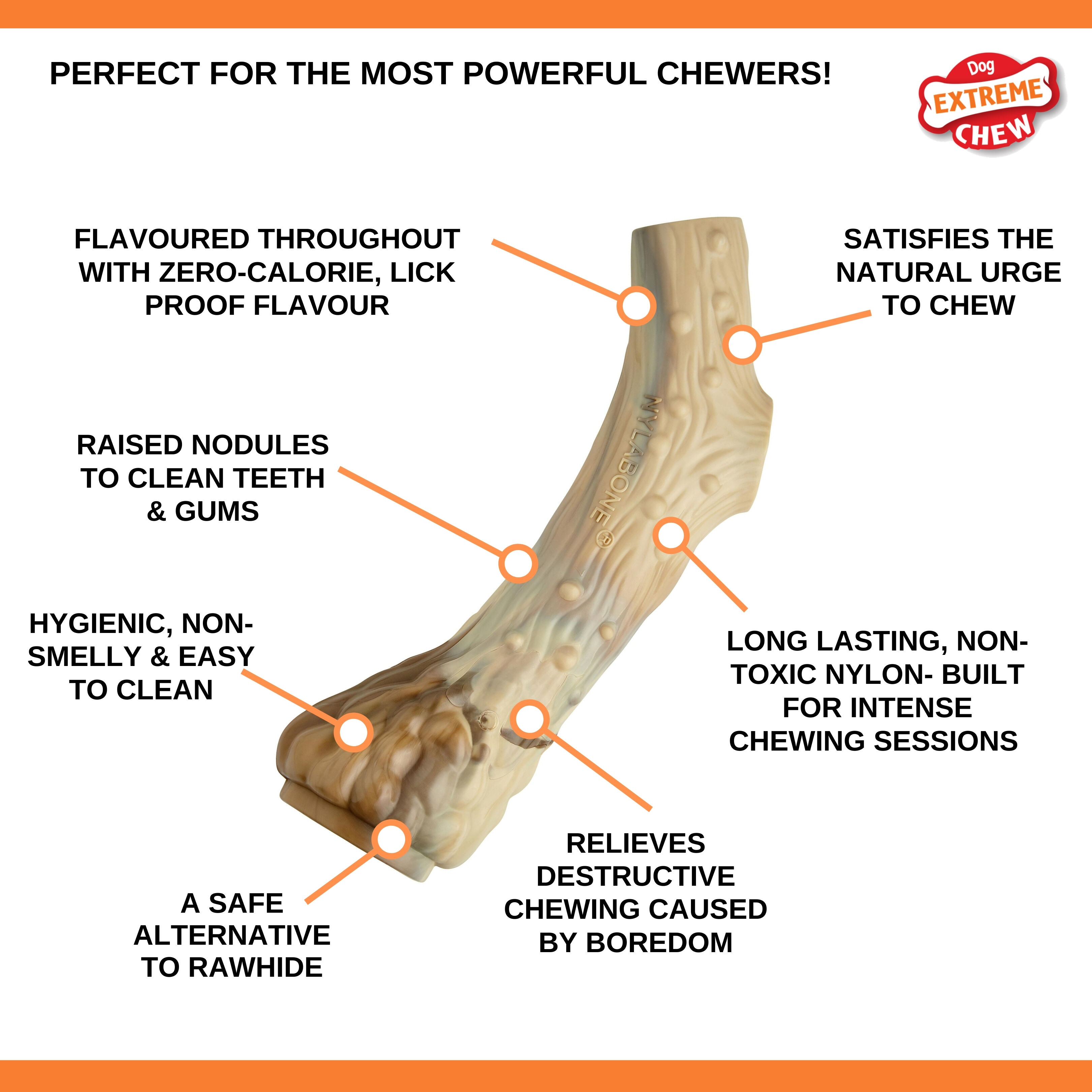 Nylabone - Jouet &agrave; M&acirc;cher Venison Extreme Antler Chew - L Image num&eacute;ro 4