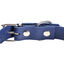 Gotoo - Collier Premium Biotane Bleu pour Chien - S Indicateur image numéro 3