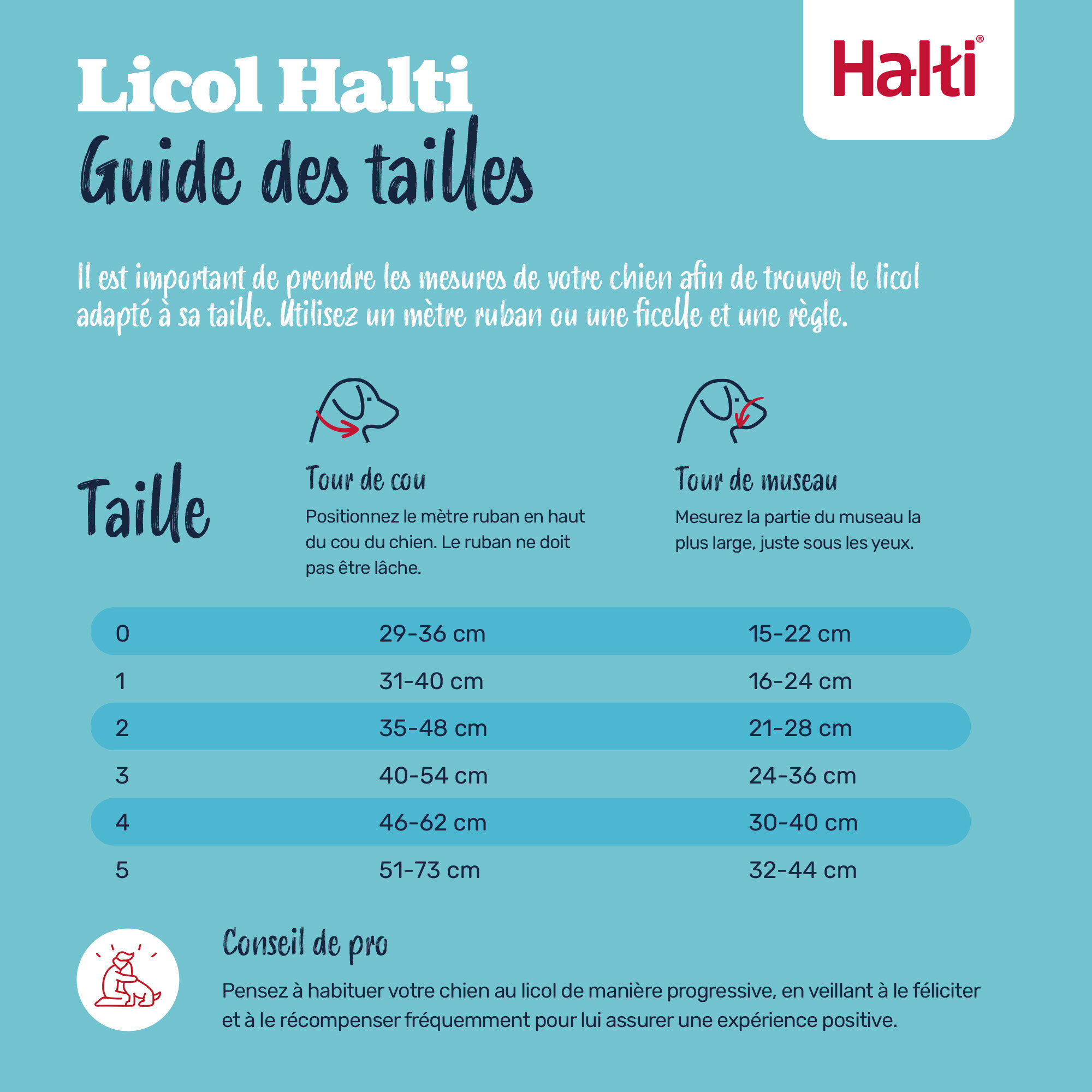Halti - Licol Headcollar Noir pour Chiens - T1 Image num&eacute;ro 4