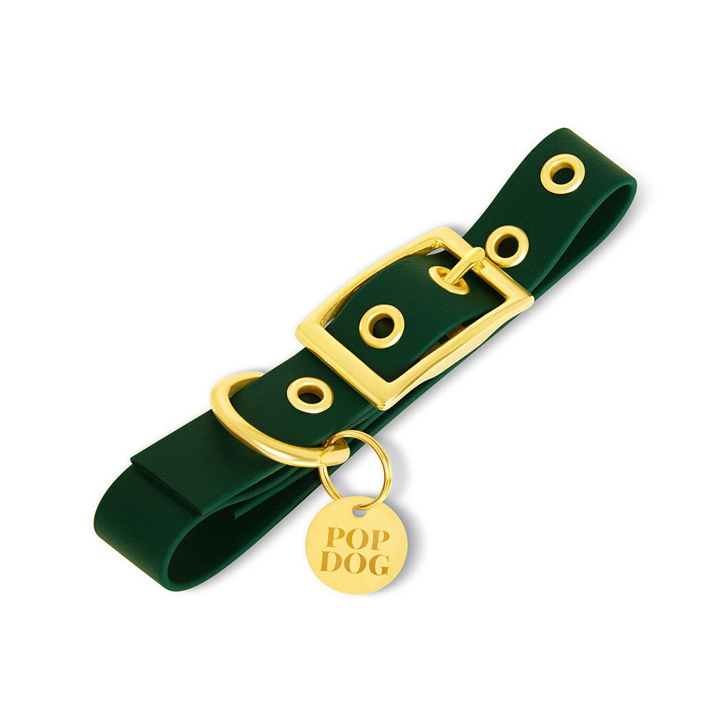 Pop Dog - Collier A  1/4 Illet El&eacute;gant Vert pour Chien - XS Image num&eacute;ro 1
