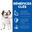 Hill's Science Plan - Adult Small&Mini Mousse Pour Chien Adulte De Petite Race Bœuf  - 200g Indicateur image numéro 3