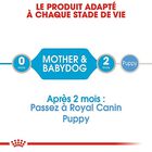 Royal Canin - Boîte Starter Mousse Mother & Babydog en Patée pour Chien - 195g image number null