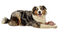 Bobby - Jouet Anneau Bambou Caoutchouc Rose pour Chiens Indicateur image numéro 2