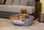 Ferplast - Corbeille Siesta Deluxe 4 Bleu pour Chiens Indicateur image numéro 9
