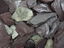 Labeo - D&eacute;co Rock P&eacute;tale Violette pour Aquarium et Terrarium - 375g Indicateur image num&eacute;ro 2