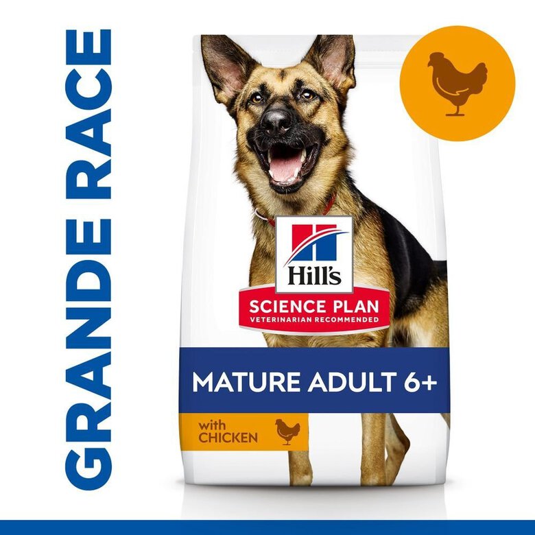 Hill's Science Plan - Mature Adult Croquettes Pour Grand Chien Agé Au Poulet  - 18kg Image numéro 4 Hill's Science Plan - Mature Adult Croquettes Pour Grand Chien Agé Au Poulet  - 18kg Image numéro 4