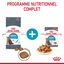 Royal Canin - Sachets Urinary Care en Sauce pour Chat - 12x85g Indicateur image numéro 3
