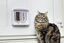 Sure PetCare - Chatière SureFlap à puce Électronique Connect pour Chat - Blanc Indicateur image numéro 3