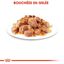Royal Canin - Sachets Sterilised en Gelée pour Chat - 12x85g Indicateur image numéro 4