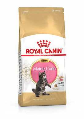 Royal Canin - Croquettes Maine Coon Kitten pour Chaton