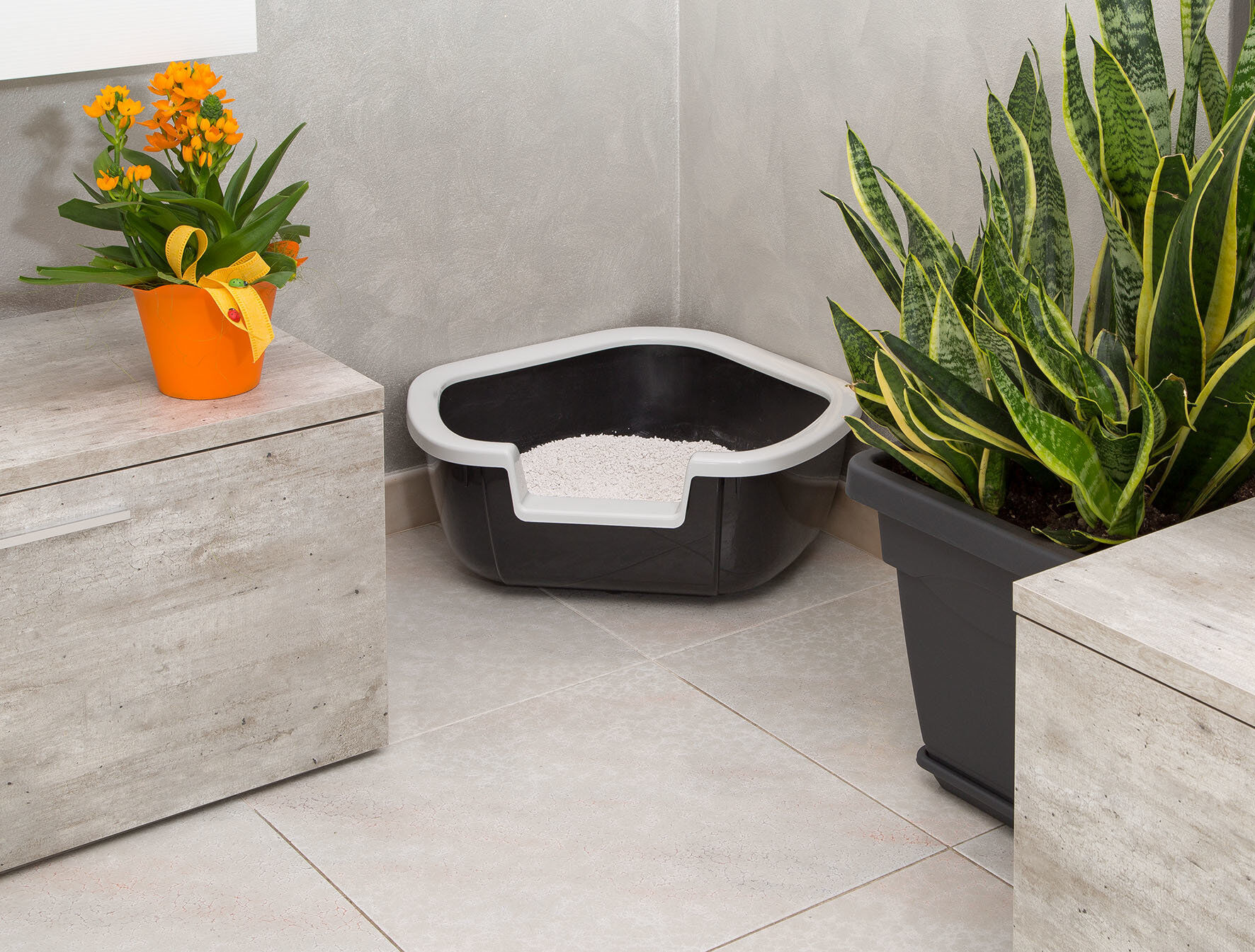 Ferplast - Bac &agrave; Liti&egrave;re Dama pour Chats - Noir Image num&eacute;ro 5