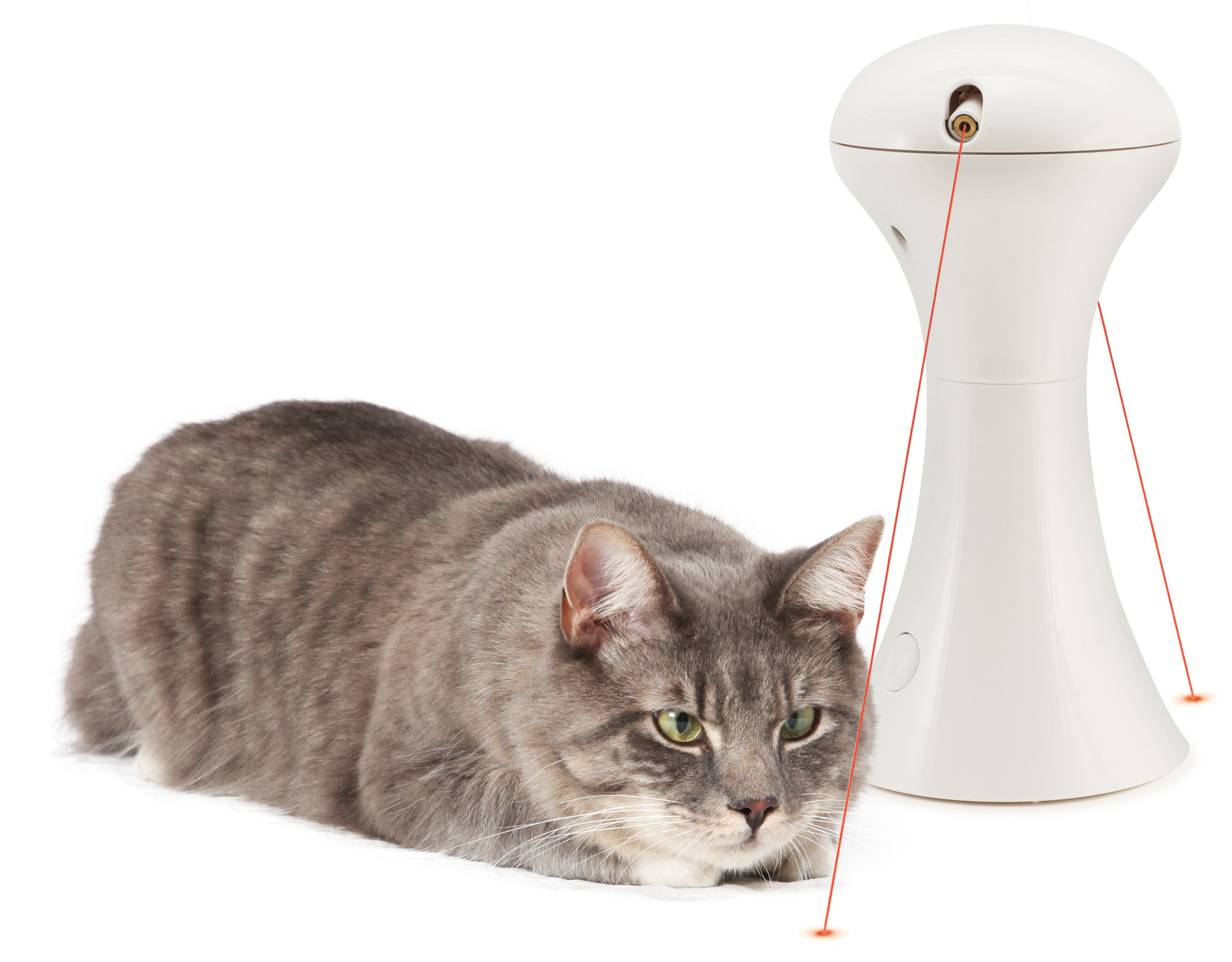 PetSafe - Jouet Multilaser Frolicat pour Chat - 21cm Image num&eacute;ro 3