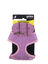 Gotoo - Set Funny pour Chat - Violet Indicateur image numéro 6