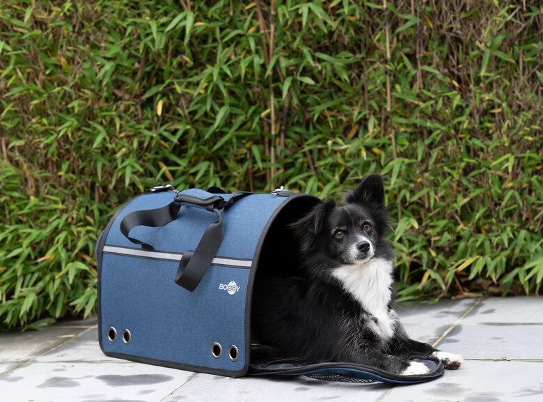 Bobby - Sac de Transport Week-end pour Chiens et Chats - Bleu Image numéro 3 Bobby - Sac de Transport Week-end pour Chiens et Chats - Bleu Image numéro 3