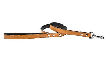 Bobby - Laisse Tomy Moutarde pour Chiens - 105cm